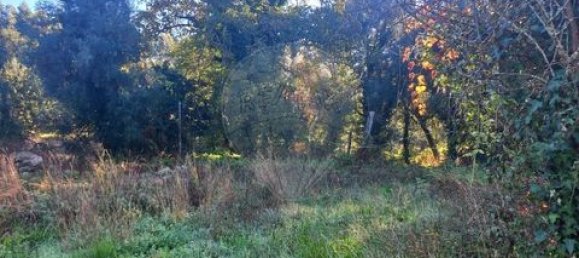 5 Schlafzimmer Villa in Ponte, Portugal, Nr. 190100 45