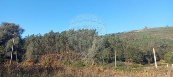 5 Schlafzimmer Villa in Ponte, Portugal, Nr. 190100 42