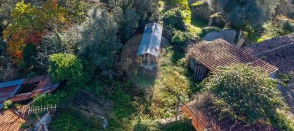 5 bedrooms Villa in Ponte, Portugal No. 190100 10