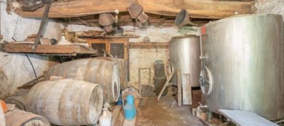 5 Schlafzimmer Villa in Ponte, Portugal, Nr. 190100 39