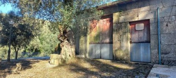 5 bedrooms Villa in Ponte, Portugal No. 190100 24