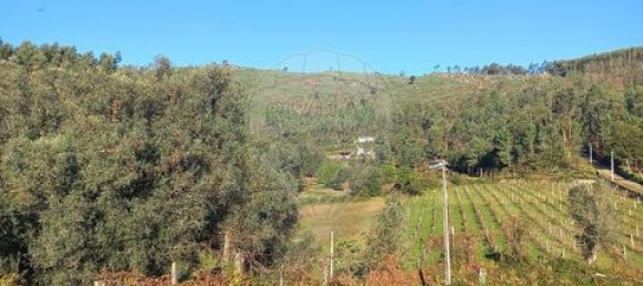 5 Schlafzimmer Villa in Ponte, Portugal, Nr. 190100 47