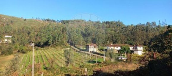 5 Schlafzimmer Villa in Ponte, Portugal, Nr. 190100 48