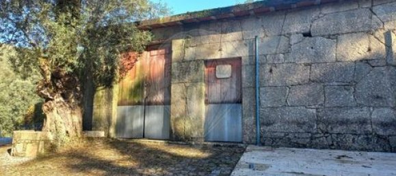 5 Schlafzimmer Villa in Ponte, Portugal, Nr. 190100 44