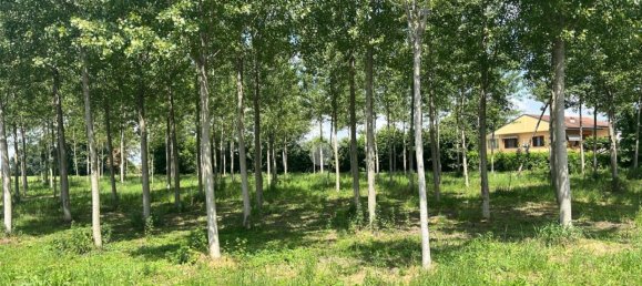 Terreno en Boffalora sopra Ticino, Italy 3992 m² No. 85290 2