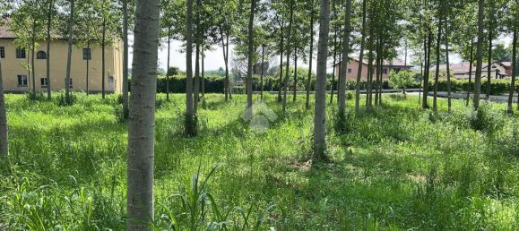 Terreno en Boffalora sopra Ticino, Italy 3992 m² No. 85290 8