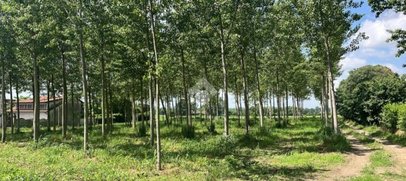 Terreno en Boffalora sopra Ticino, Italy 3992 m² No. 85290 10