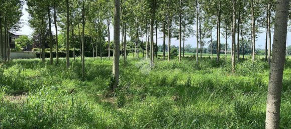 Terreno en Boffalora sopra Ticino, Italy 3992 m² No. 85290 7