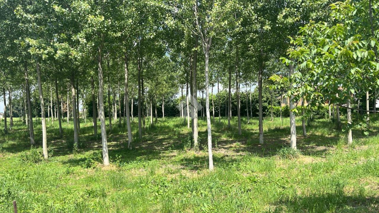 Terreno en Boffalora sopra Ticino, Italy 3992 m² No. 85290