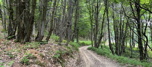 1 bedroom Apartment in Montaldo di Mondovì, Italy No. 290839 18