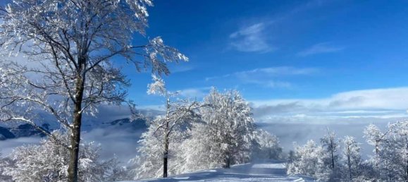 1 bedroom Apartment in Montaldo di Mondovì, Italy No. 290839 21