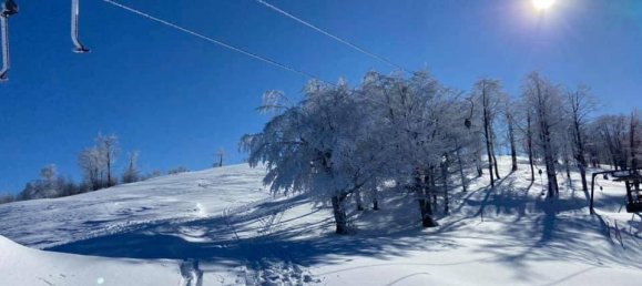 1 bedroom Apartment in Montaldo di Mondovì, Italy No. 290839 23