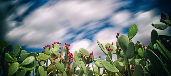 5 rooms Apartment in Lecce, Italy No. 291240 17