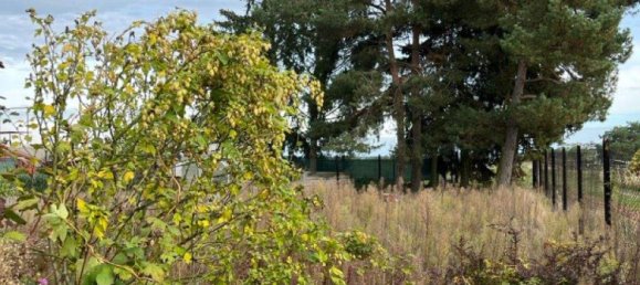 7 rooms House in Stendal, Germany No. 330945 3