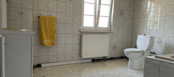 Gewerbliche Immobilie in Lauterbourg, France 284m², Nr. 274674 18