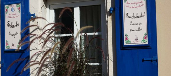 Gewerbliche Immobilie in Lauterbourg, France 284m², Nr. 274674 4