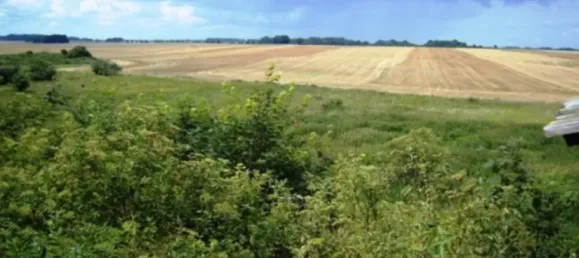 Grundstück in Vorpommern-Greifswald, Germany, Nr. 188780 3