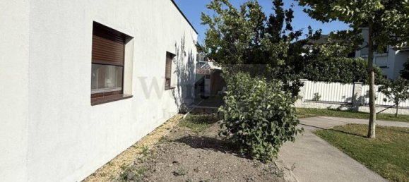 Бунгало с 3 спальнями в Эбергассинг, Австрия № 165559 10