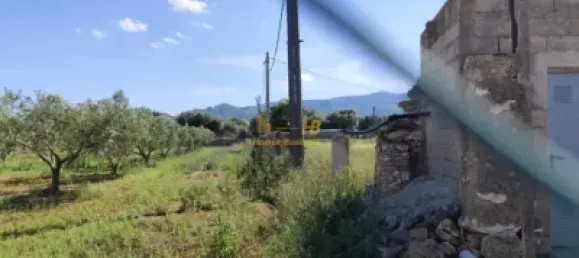 4 Schlafzimmer Haus in L'Ampolla, Spain, Nr. 164493 11