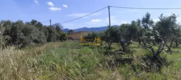 4 Schlafzimmer Haus in L'Ampolla, Spain, Nr. 164493 12