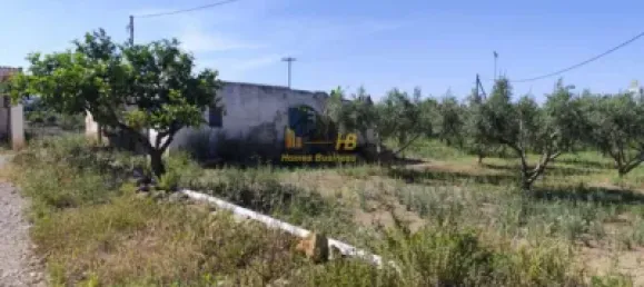 4 Schlafzimmer Haus in L'Ampolla, Spain, Nr. 164493 10