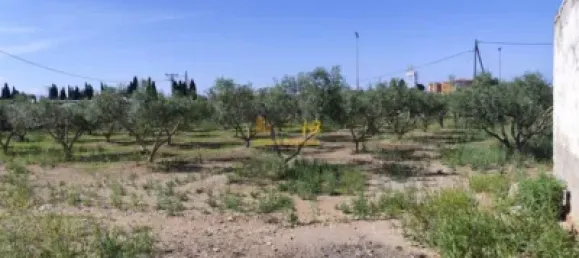 4 Schlafzimmer Haus in L'Ampolla, Spain, Nr. 164493 8