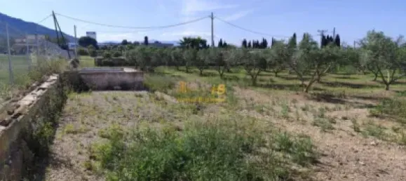 4 Schlafzimmer Haus in L'Ampolla, Spain, Nr. 164493 9