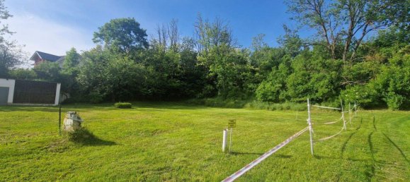 Terrain à Sierndorf, Austria No. 246187 3