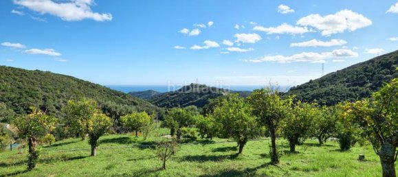 2 غرف نوم منزل في Estepona, Spain رقم 101139 20