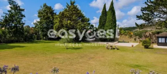 6 bedrooms House in Bombarral, Portugal No. 131603 10