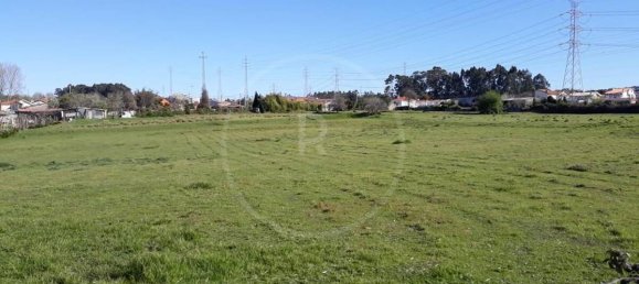 Terrain à Vila Nova de Gaia, Portugal No. 52501 2