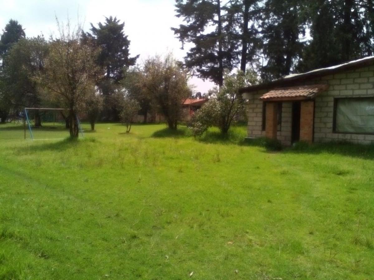 Grundstück in Mexico, Nr. 206045