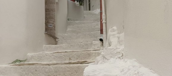 2-Zimmer Wohnung in Sperlonga, Italy, Nr. 251684 19