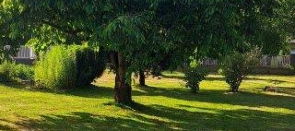 Дом с 5 комнатами в Шпильберг, Австрия № 205312 14