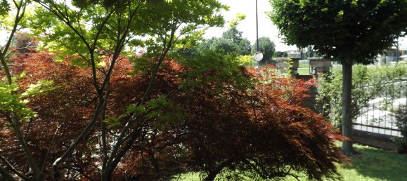 4 rooms Villa in Cologno Monzese, Italy No. 150079 47