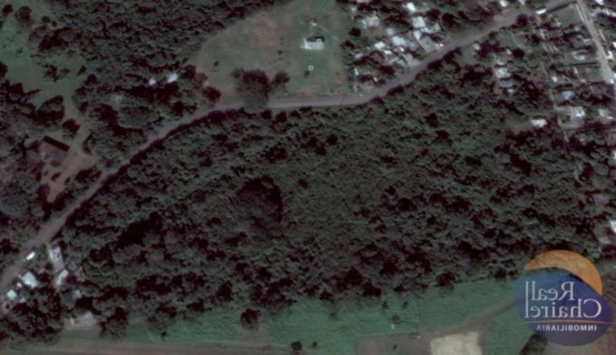  Land in Veracruz, Mexico No. 205157