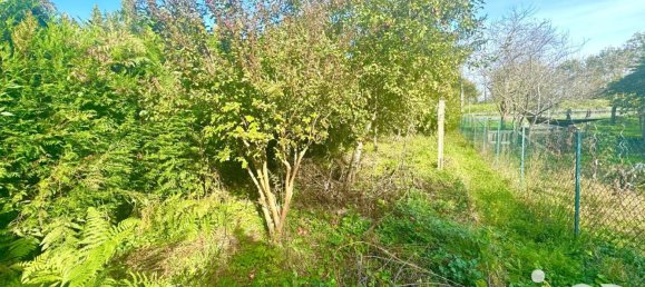 4 غرف نوم منزل في Menetreol-sous-Sancerre, France رقم 254442 6