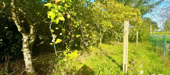 4 غرف نوم منزل في Menetreol-sous-Sancerre, France رقم 254442 7