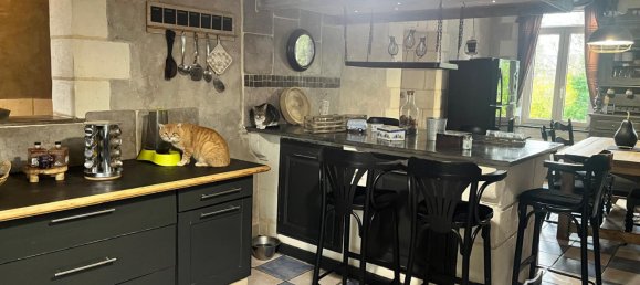 Castelos T7 em Saint-Martin-sur-Ecaillon, France N.º 43989 28