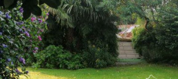 Castelos T7 em Saint-Martin-sur-Ecaillon, France N.º 43989 14