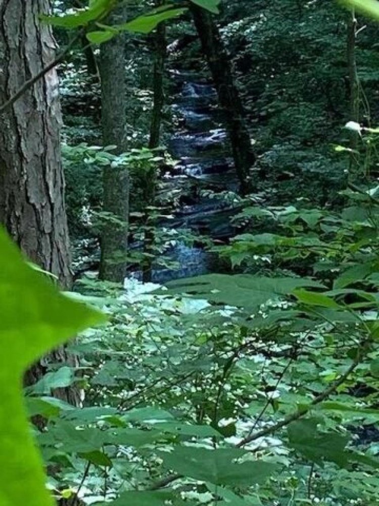  Land in Talking Rock, USA No. 499737