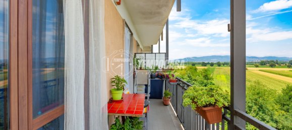 1 bedroom Apartment in Villastellone, Italy No. 155581 4