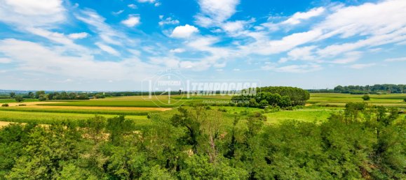 1 bedroom Apartment in Villastellone, Italy No. 155581 29