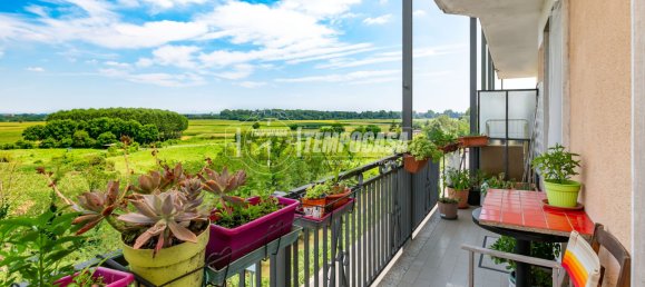 1 bedroom Apartment in Villastellone, Italy No. 155581 28