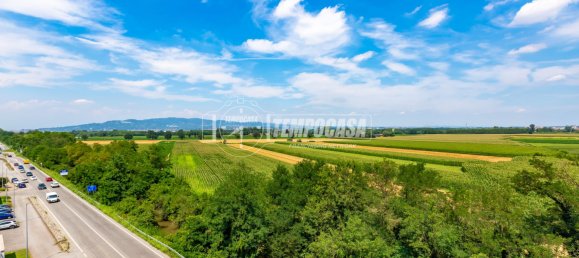 1 bedroom Apartment in Villastellone, Italy No. 155581 17