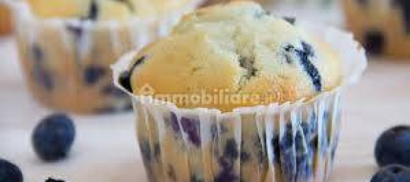 1 room Commercial property in Reggio Emilia, Italy No. 224252 11