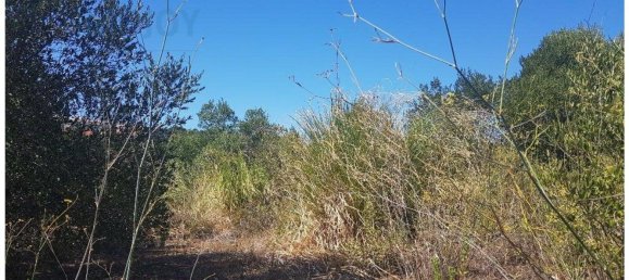  قطعة أرض في Cascais, Portugal 483متر مربع رقم 139554 6