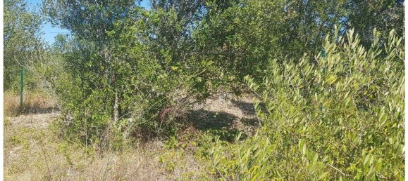  قطعة أرض في Cascais, Portugal 483متر مربع رقم 139554 3