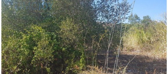  قطعة أرض في Cascais, Portugal 483متر مربع رقم 139554 7