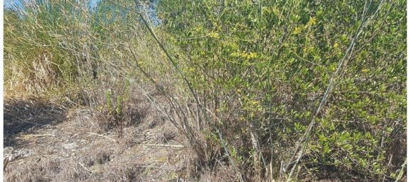  قطعة أرض في Cascais, Portugal 483متر مربع رقم 139554 12